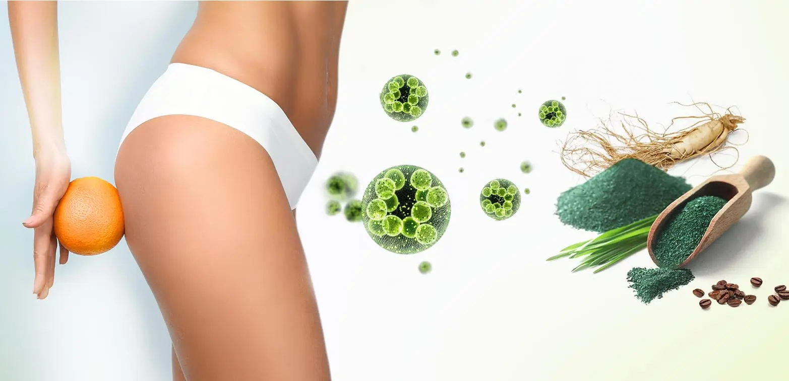 Trattamento corpo contro adiposità localizzata e cellulite