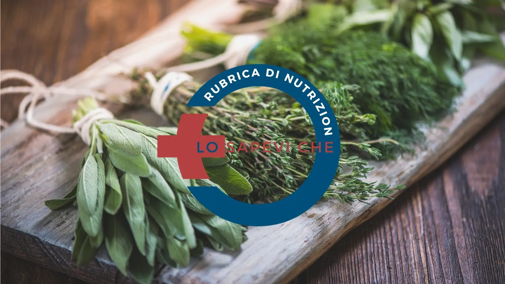 Erbe aromatiche fresche per insaporire i piatti in cucina